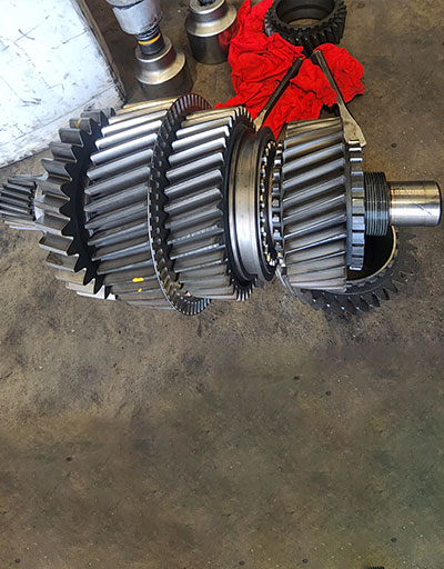 trans gear Derrimut